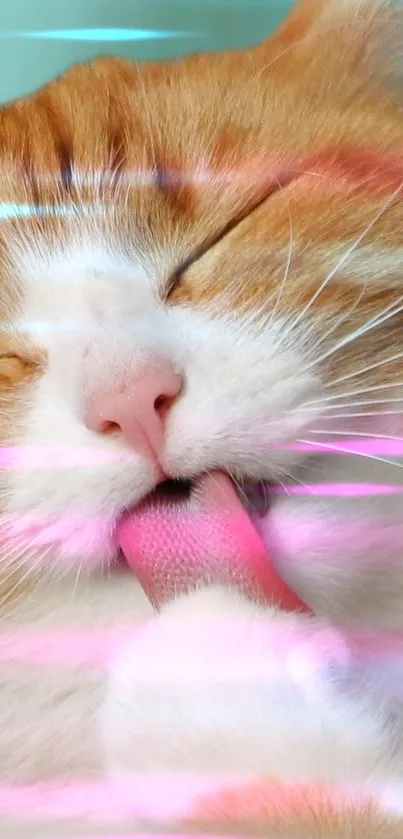 Close-up of a cute cat licking its paw with colorful lighting effects.