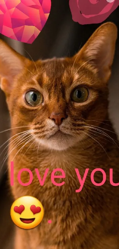 Adorable brown cat with love symbols on wallpaper.