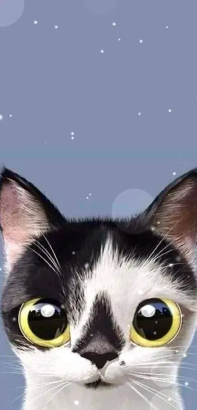 Wide-eyed cat on blue mobile wallpaper.