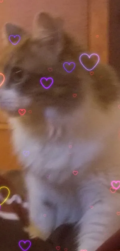 Fluffy cat sitting on a cozy bed with soft warm lighting.