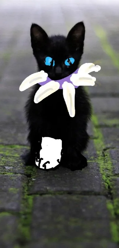 Black kitten on mossy path with white paw and blue eyes.