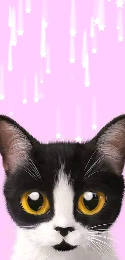 Cute black and white cat with large eyes on pink background.