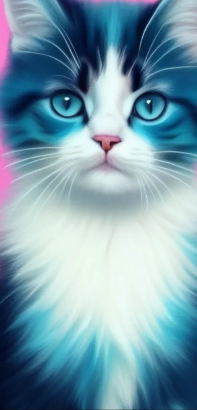 Adorable blue-eyed cat with pink backdrop.