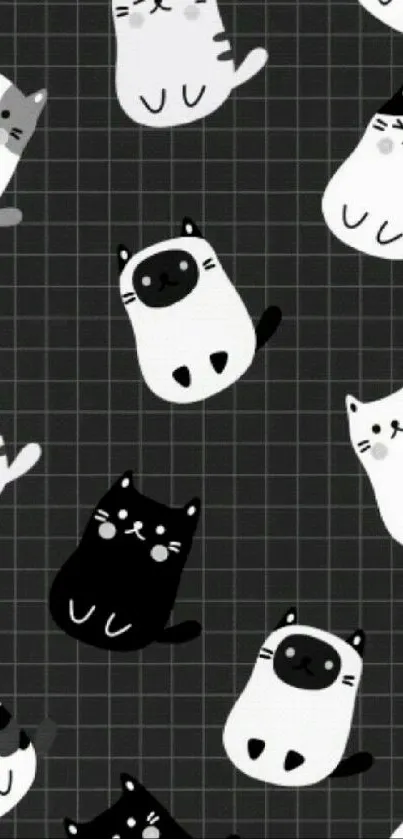 Playful black and white cat pattern mobile wallpaper.