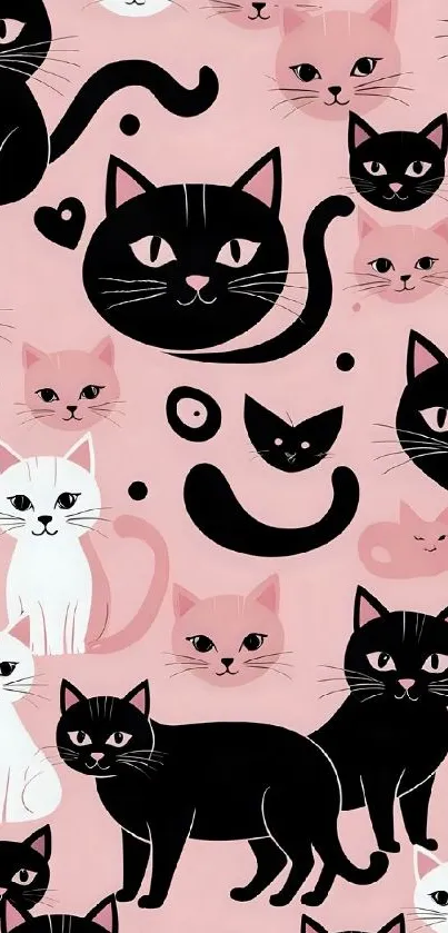Pattern of black and white cats on pink background wallpaper.