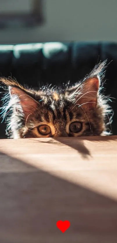 Curious cat peeking over table with soft lighting and small red heart.