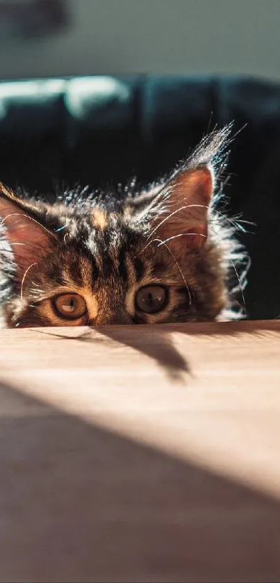 Adorable cat peeking over a table, creating a playful and cute mobile wallpaper.