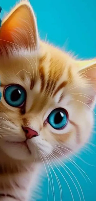 Cute kitten peeking from blue background, perfect for wallpaper.