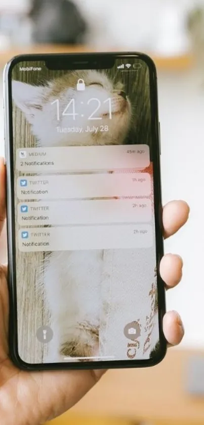 Hand holding a phone with a cute cat wallpaper.