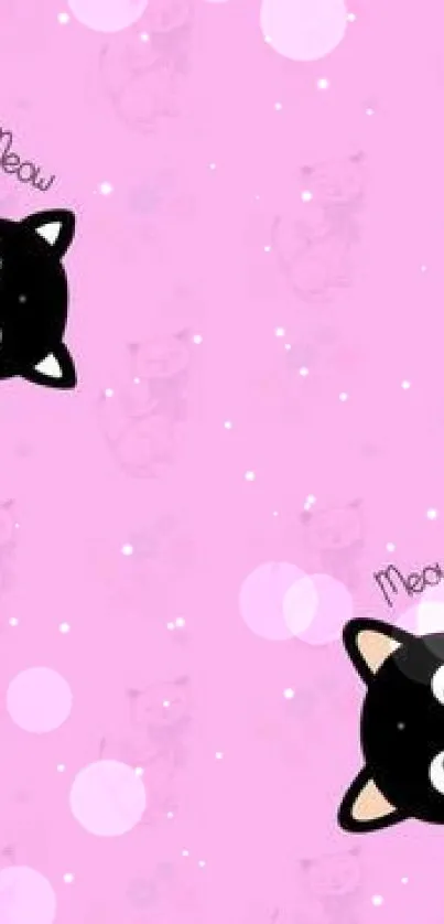 Pink wallpaper with cute black cat faces and playful design.