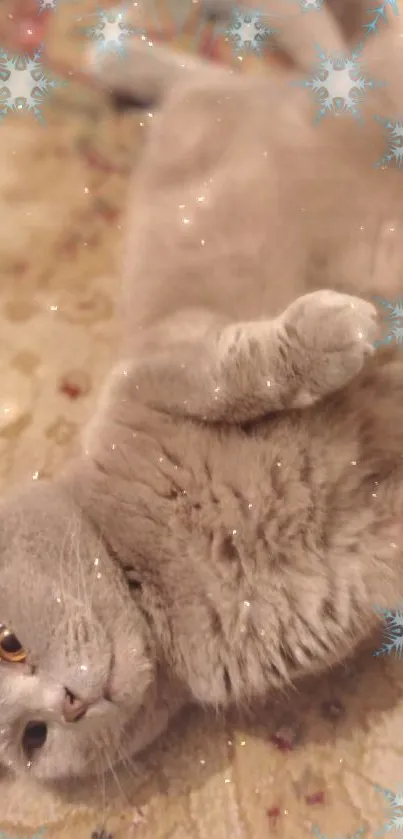 Cute cat lying on a snowy-patterned beige carpet.