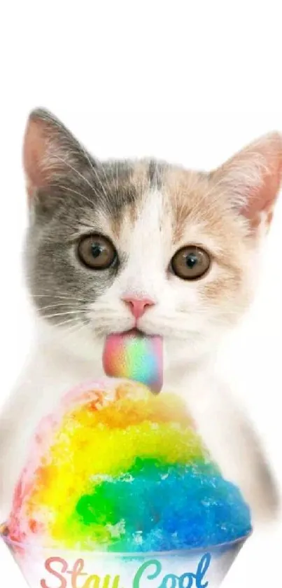 Cute cat licking a colorful rainbow snow cone.