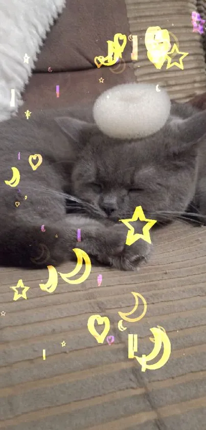 Cute gray cat sleeping with a white ring on its head on a couch.