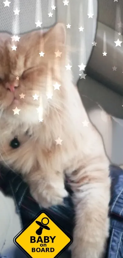 Adorable sleeping cat with stars in car seat.