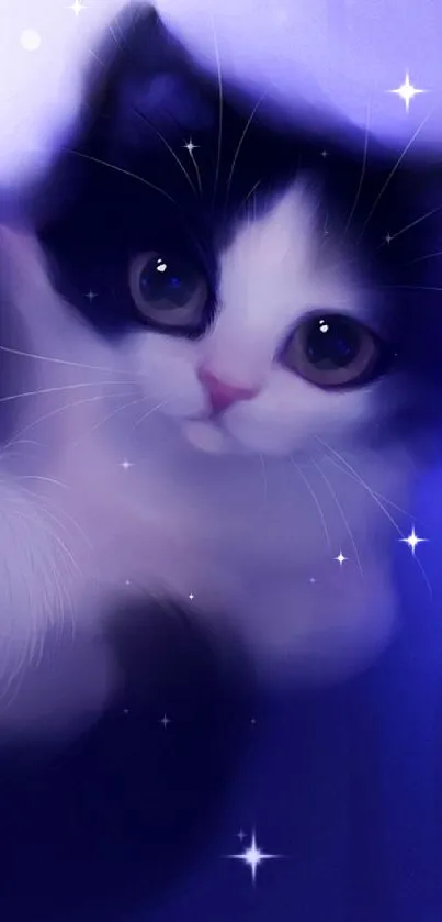 Adorable black and white kitten with purple background.