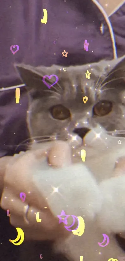 Charming cat with purple starry decor in wallpaper background.