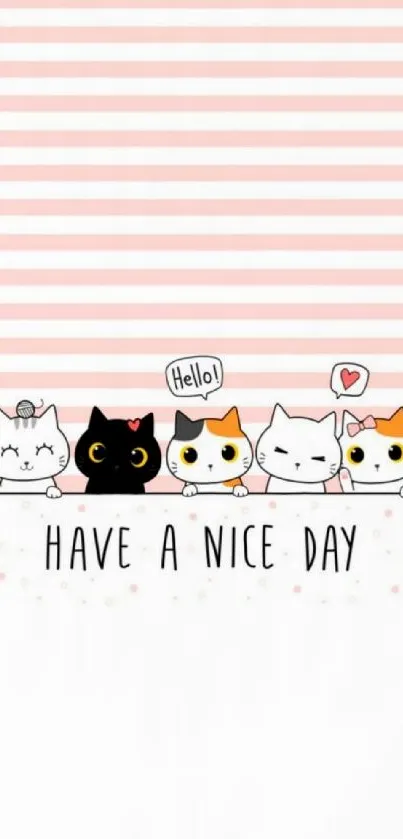 Cute cat wallpaper with pink stripes and 'Have a Nice Day' message.