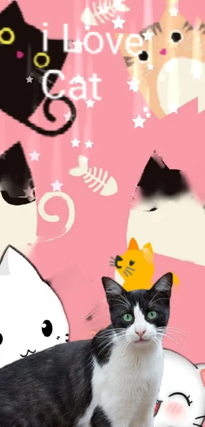 Cute cat wallpaper with pink background and playful illustration.