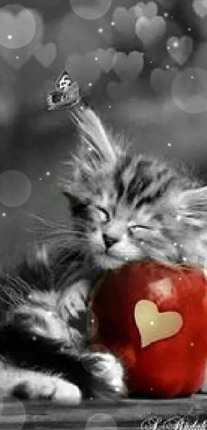 A cute kitten sleeping on a red apple with heart accents.