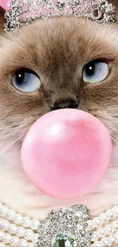 Cute cat with tiara blowing pink bubblegum