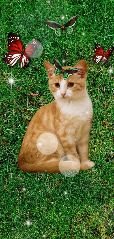 Orange cat and butterflies on green grass wallpaper.