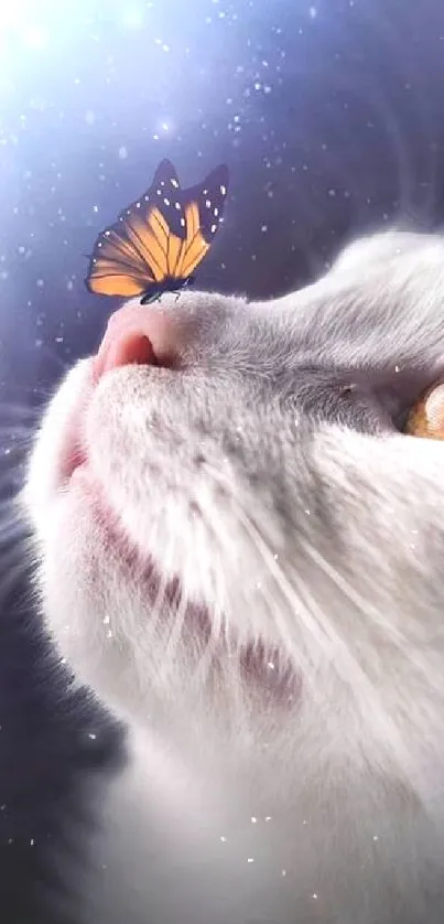 Cute cat looks at butterfly in soft purple glow.