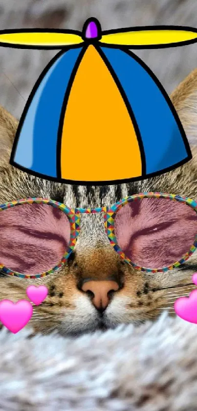 Cute cat with cartoon hat and glasses in fluffy bed.