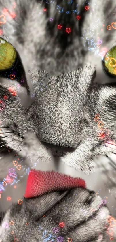 Close-up of a cat's face with vibrant, colorful bokeh lights.