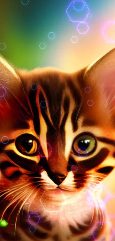 Cute cat surrounded by colorful, geometric light patterns on a mobile wallpaper.