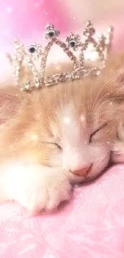 A cute sleeping cat with a crown on a pink background.