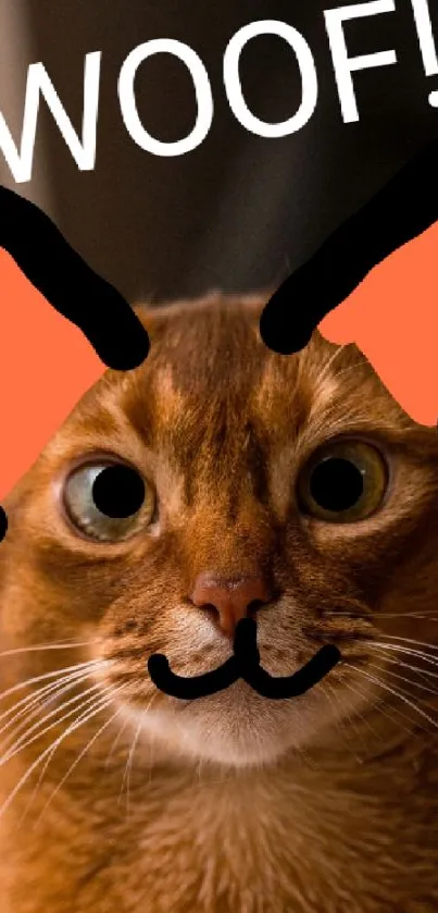 Funny cat with digital dog ears and 'woof' text on mobile wallpaper.