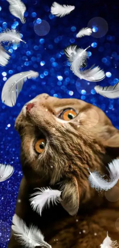 Cute cat looks up at falling white feathers against a blue glitter background.