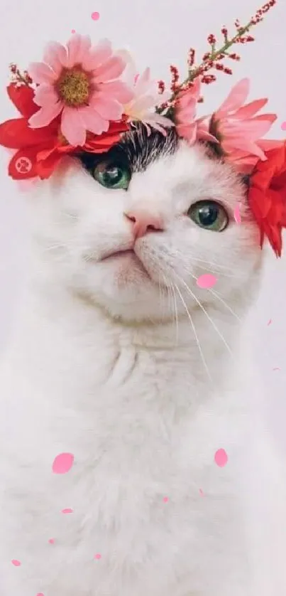 White cat with pink floral crown on light background.