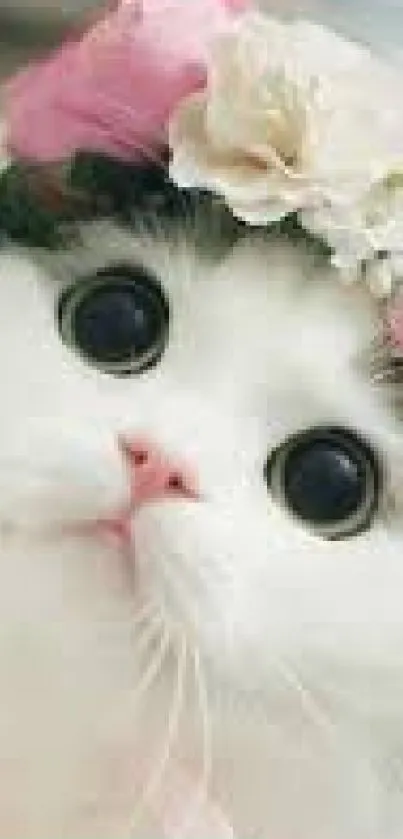 White cat with pink flower crown, big eyes, and soft fur.