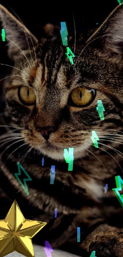 Adorable cat with gold star on dark background