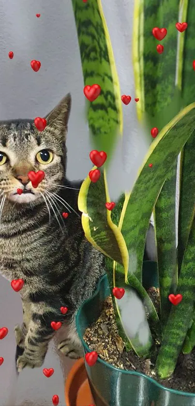 Cute cat and green plant with heart decorations.