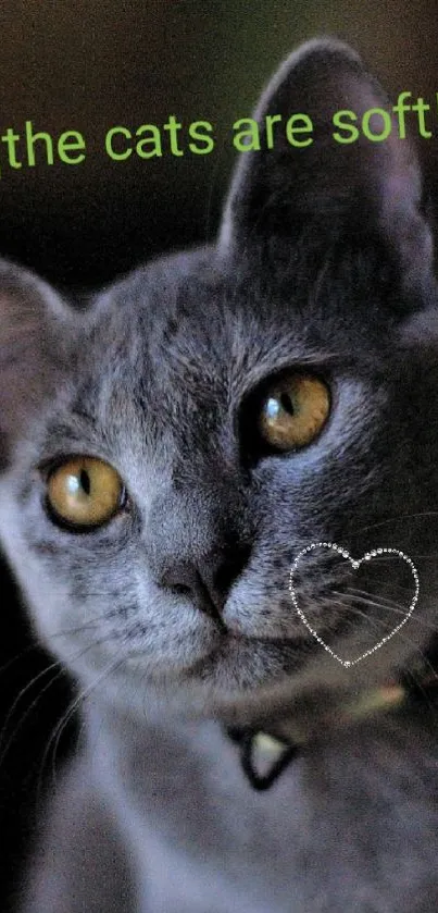 Cute gray cat with heart overlay and yellow eyes on a dark background.