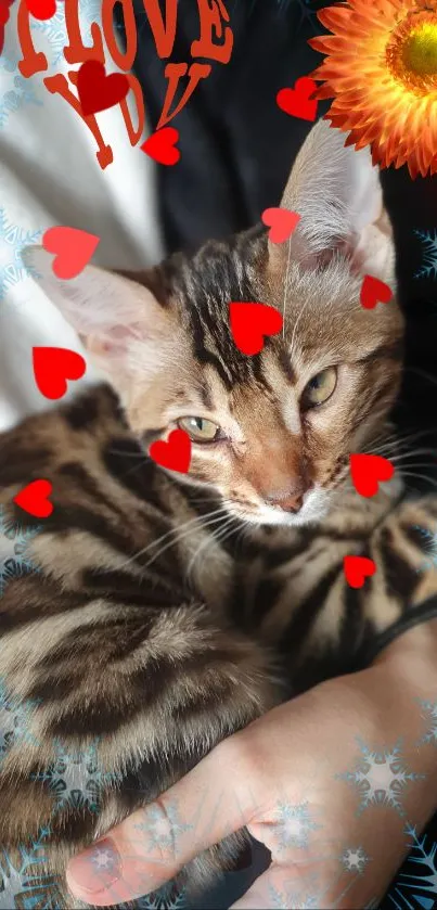 Bengal cat with red hearts and floral accents on a phone wallpaper.