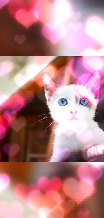 Cute cat with blue eyes among pink heart bokeh on mobile wallpaper.