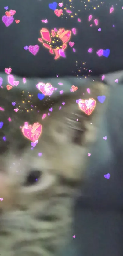 Blurred kitten with colorful heart effects on mobile wallpaper.