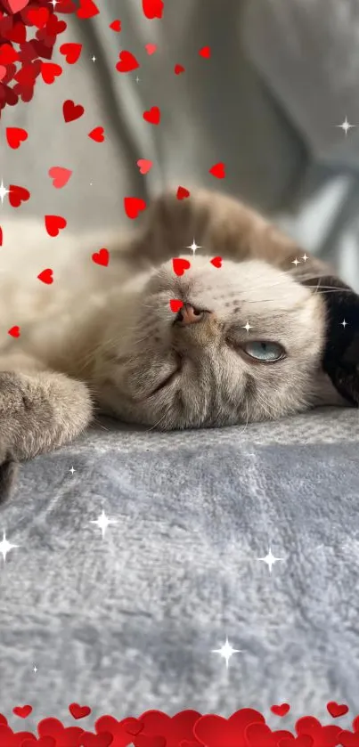 Cute cat surrounded by red hearts on a soft background.