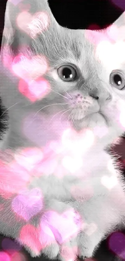 Cute cat with pink heart overlays on a dark background.