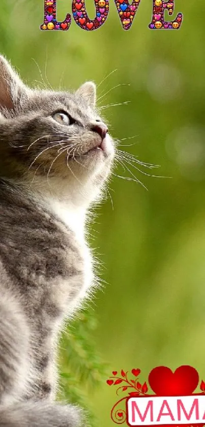 Cute gray kitten with love message in green nature.