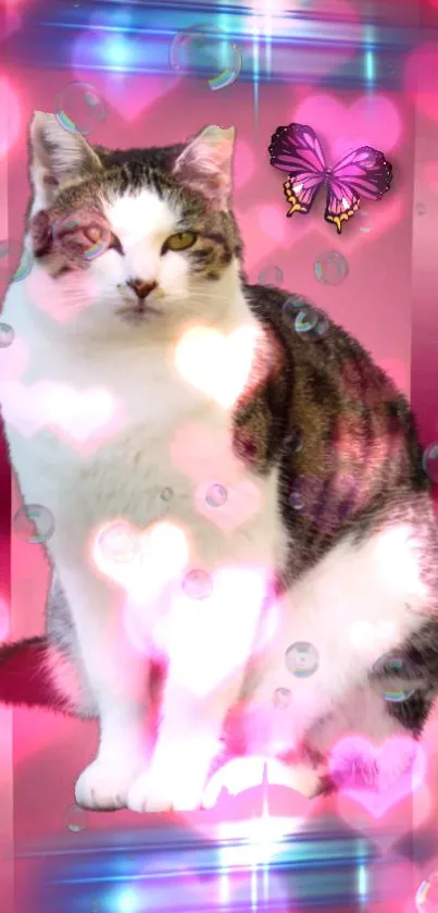 Cute cat with pink hearts and butterfly on mobile wallpaper.