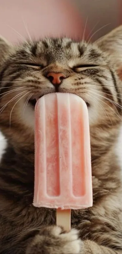 Cute kitten licking a pink popsicle.
