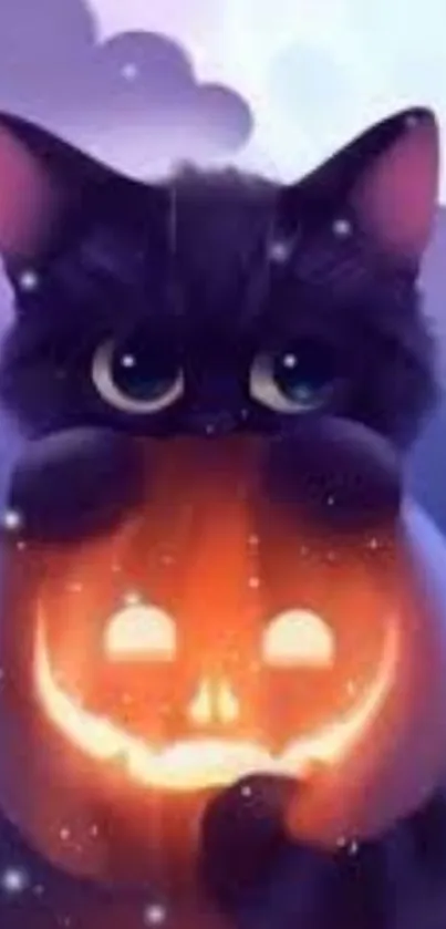 Cute black cat with glowing pumpkin in a purple night sky.