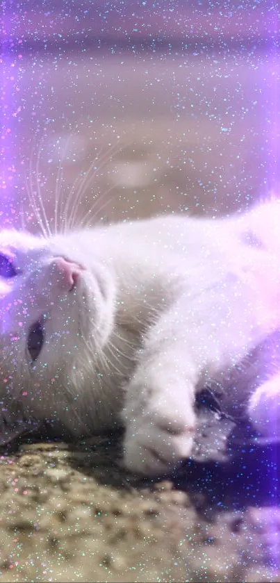 White cat with purple sparkles in a dreamy scenario.