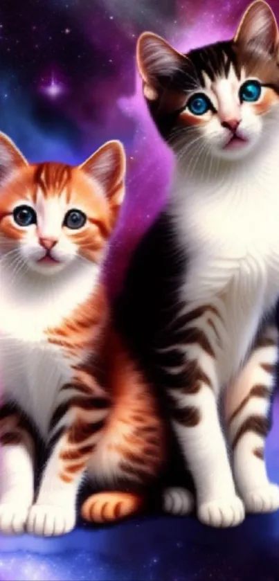 Two cute cats sit together against a vibrant galaxy background.