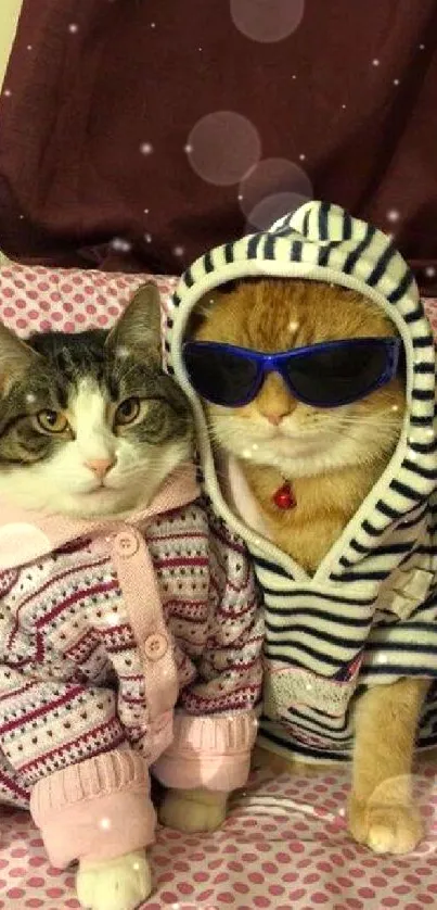 Cats wearing stylish sweaters, one with sunglasses, on patterned background.