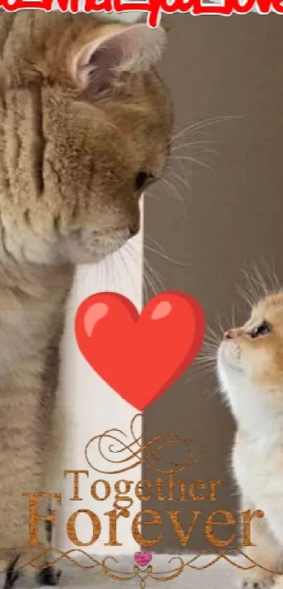 Cute cats with heart and motivational message wallpaper.
